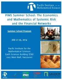 The Economics and Mathematics of Systemic Risk and the Financial Networks