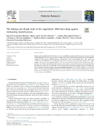 The Fishing and Illegal Trade of the Angelshark DNA Barcoding