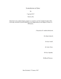 Nominalization in Puaar