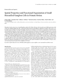 Spatial Properties and Functional Organization of Small Bistratified Ganglion Cells in Primate Retina