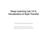 Visualization & Style Transfer