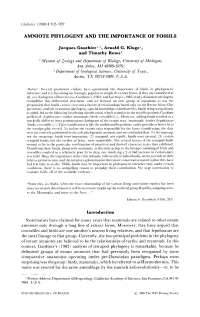 Amniote Phylogeny and the Importance of Fossils