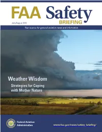 FAA Safety Briefing July/August 2010 SMART SELF BRIEFINGS Volume 49/Number 4 Maximizing Internet Resources
