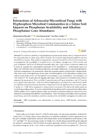 Interactions of Arbuscular Mycorrhizal Fungi with Hyphosphere Microbial Communities in a Saline Soil