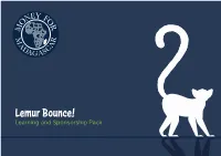 Lemur Bounce!