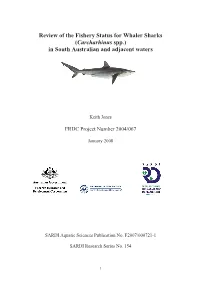 Review of the Fishery Status for Whaler Sharks (Carcharhinus Spp.) in South Australian and Adjacent Waters