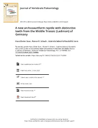 A New Archosauriform Reptile with Distinctive Teeth from the Middle Triassic (Ladinian) of Germany
