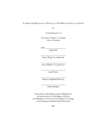 By Amanda Jeanne Lea University Program in Ecology D