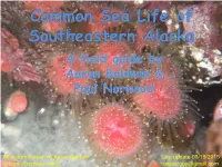 Common Sea Life of Southeastern Alaska a Field Guide by Aaron Baldwin & Paul Norwood