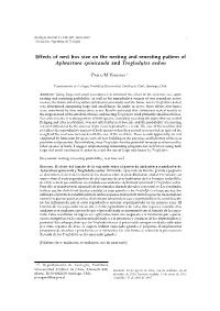 Effects of Nest Box Size on the Nesting and Renesting Pattern of Aphrastura Spinicauda and Troglodytes Aedon