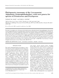Phylogenetic Taxonomy of the Cercosaurini (Squamata: Gymnophthalmidae), with New Genera for Species of Neusticurus and Proctoporus