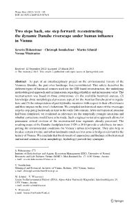 Reconstructing the Dynamic Danube Riverscape Under Human Influence