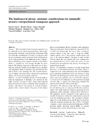 The Lumbosacral Plexus: Anatomic Considerations for Minimally Invasive Retroperitoneal Transpsoas Approach