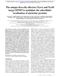The Unique Brucella Effectors Nyxa and Nyxb Target SENP3 to Modulate the Subcellular Localisation of Nucleolar Proteins