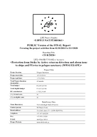 WHALESAFE Final Report Public.Pdf