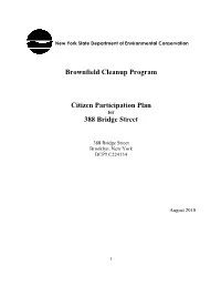 Brownfield Cleanup Program Citizen Participation Plan 388 Bridge Street