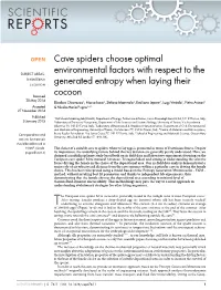Cave Spiders Choose Optimal Environmental Factors with Respect