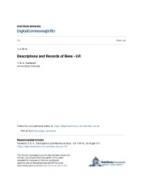 Descriptions and Records of Bees - LVI