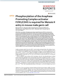 Phosphorylation of the Anaphase Promoting Complex