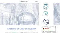 Anatomy of Liver and Spleen Doctors Notes Notes/Extra Explanation Please View Our Editing File Before Studying This Lecture to Check for Any Changes
