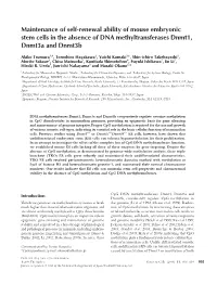Maintenance of Self-Renewal Ability of Mouse Embryonic Stem Cells in The