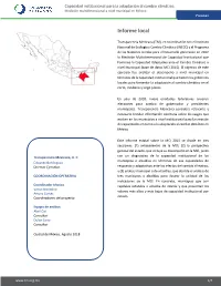 Informe Local