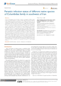 Parasitic Infection Status of Different Native Species of Columbidae Family in Southwest of Iran