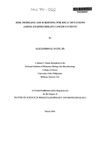 Pho300007 Risk Modeling and Screening for Brcai