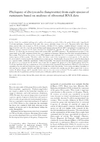 Phylogeny of Dictyocaulus (Lungworms) from Eight Species of Ruminants Based on Analyses of Ribosomal RNA Data