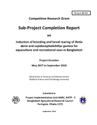 Sub-Project Completion Report