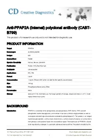 Anti-PPAP2A (Internal) Polyclonal Antibody (CABT- B799) This Product Is for Research Use Only and Is Not Intended for Diagnostic Use