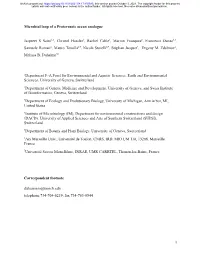 Microbial Loop of Proterozoic Ocean Analogue