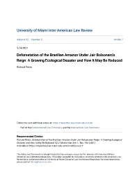 Deforestation of the Brazilian Amazon Under Jair Bolsonaro's Reign: A