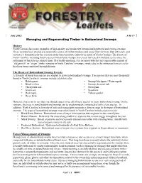 Managing and Regenerating Timber in Bottomland Swamps History