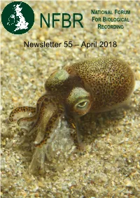 Newsletter 55