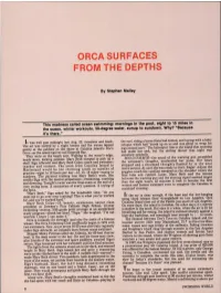 Orca Surfaces from the Depths