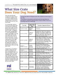 What Size Crate Does Your Dog Need?