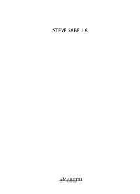 Steve Sabella. Archaeology of the Future