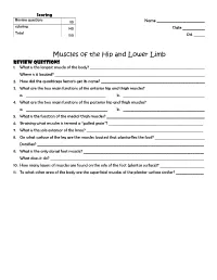 Muscles of the Hip and Lower Limb Review Questions 1