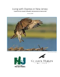 Osprey Nest Guidance