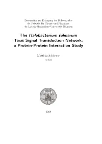 The Halobacterium Salinarum Taxis Signal Transduction Network: a Protein-Protein Interaction Study