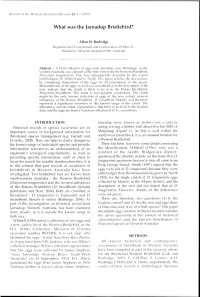 Adec Preview Generated PDF File
