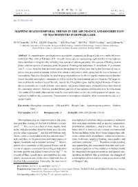 Mapping Spatiotemporal Trends in the Abundance and Distribution of Macrophytes in Hongze Lake