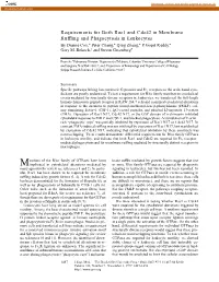 Requirements for Both Rac1 and Cdc42 in Membrane Ruffling And