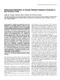 Differential Distribution of Closely Related Potassium Channels in Rat Schwann Cells