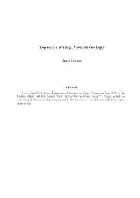 Topics in String Phenomenology