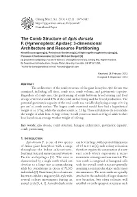 The Comb Structure of Apis Dorsata F. (Hymenoptera: Apidae)