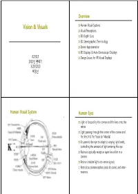 Visual Perception