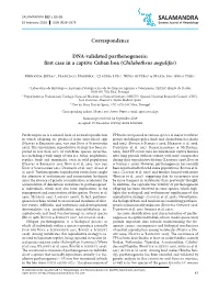 DNA-Validated Parthenogenesis: First Case in a Captive Cuban Boa (Chilabothrus Angulifer)