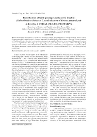 Identification of Lentil Genotypes Resistant to Bruchid (Callosobruchus Chinensis L.) and Selection of Diverse Parental Pair A